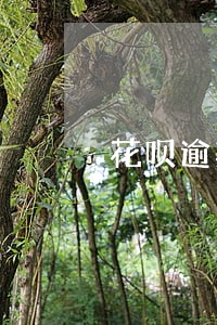 花呗逾期后守约多久能恢复正常 花呗逾期后守约多久能恢复正常