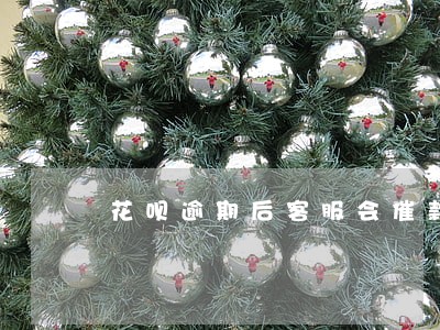 花呗逾期后客服会催款吗 花呗逾期后客服会催款吗