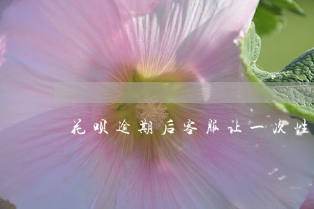 花呗逾期后客服让一次性还完全款 花呗逾期后客服让一次性还完全款