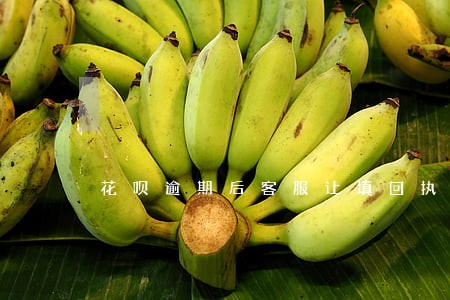 花呗逾期后客服让填回执 花呗逾期后客服让填回执