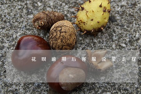 花呗逾期后客服说要走程序