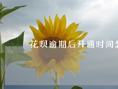 花呗逾期后开通时间怎么看