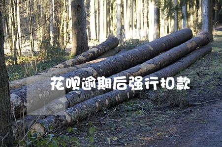 花呗逾期后强行扣款 花呗逾期后强行扣款