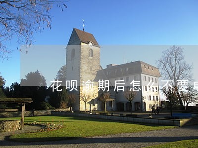 花呗逾期后怎么不要电话联系了 花呗逾期后怎么不要电话联系了