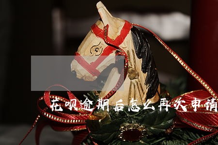 花呗逾期后怎么再次申请