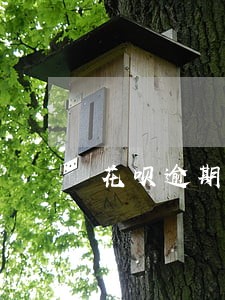 花呗逾期后怎么分期付款 花呗逾期后怎么分期付款