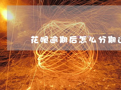 花呗逾期后怎么分期还款 花呗逾期后怎么分期还款