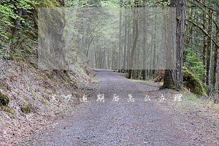 花呗逾期后怎么办理 花呗逾期后怎么办理