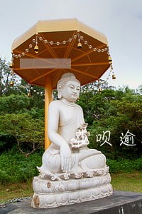 花呗逾期后怎么加芝麻分 花呗逾期后怎么加芝麻分