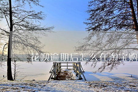 花呗逾期后怎么在淘宝购物