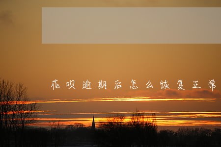 花呗逾期后怎么恢复正常使用 花呗逾期后怎么恢复正常使用