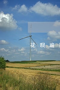 花呗逾期后怎么恢复芝麻分使用