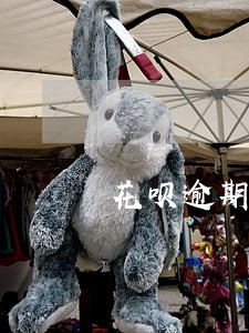 花呗逾期后怎么才有额度 花呗逾期后怎么才有额度