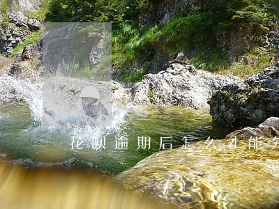 花呗逾期后怎么才能分期还款 花呗逾期后怎么才能分期还款
