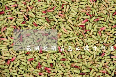 花呗逾期后怎么提升信用分 花呗逾期后怎么提升信用分