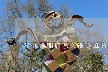花呗逾期后怎么涨芝麻分 花呗逾期后怎么涨芝麻分