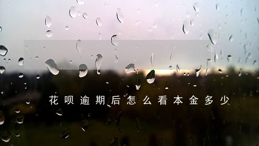 花呗逾期后怎么看本金多少 花呗逾期后怎么看本金多少