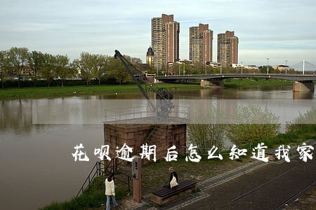 花呗逾期后怎么知道我家人电话 花呗逾期后怎么知道我家人电话