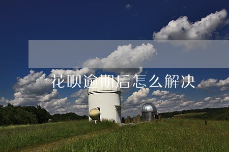 花呗逾期后怎么解决