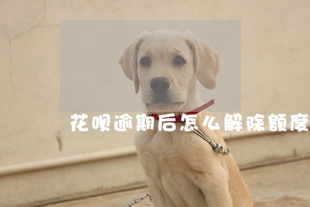 花呗逾期后怎么解除额度 花呗逾期后怎么解除额度