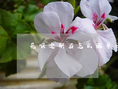 花呗逾期后怎么账单分期 花呗逾期后怎么账单分期