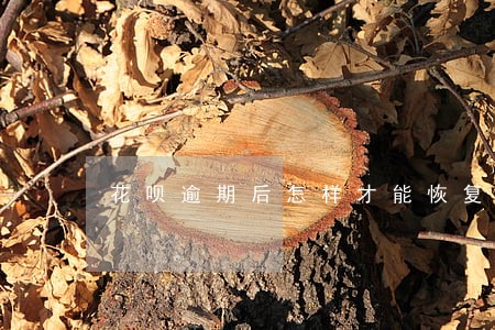 花呗逾期后怎样才能恢复额度 花呗逾期后怎样才能恢复额度