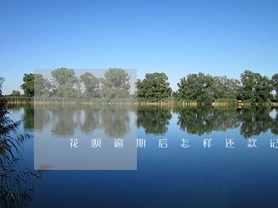 花呗逾期后怎样还款记录 花呗逾期后怎样还款记录