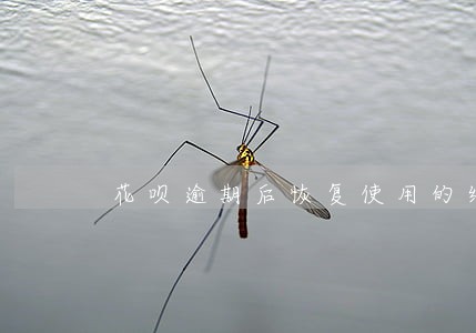 花呗逾期后恢复使用的经历 花呗逾期后恢复使用的经历