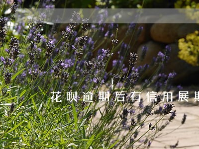 花呗逾期后有信用展期吗 花呗逾期后有信用展期吗