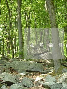 花呗逾期后果会不会判刑 花呗逾期后果会不会判刑