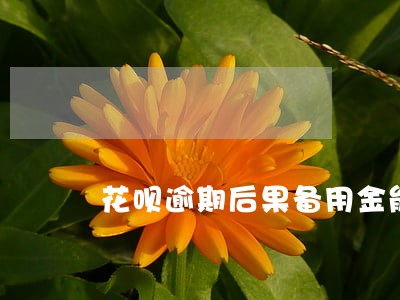 花呗逾期后果备用金能用吗 花呗逾期后果备用金能用吗