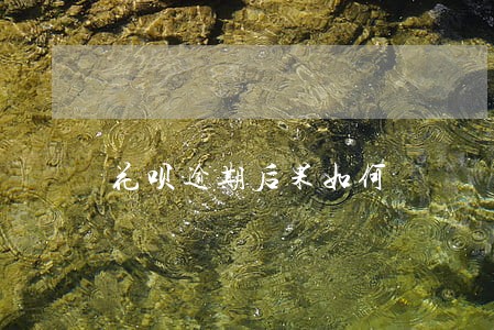 花呗逾期后果如何 花呗逾期后果如何