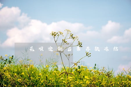 花呗逾期后果存款冻结 花呗逾期后果存款冻结