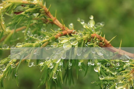 花呗逾期后果影响征信吗 花呗逾期后果影响征信吗