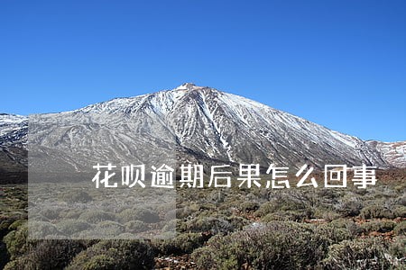 花呗逾期后果怎么回事 花呗逾期后果怎么回事
