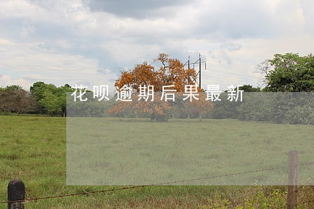 花呗逾期后果最新