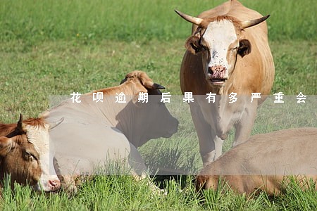 花呗逾期后果有多严重会坐牢吗 花呗逾期后果有多严重会坐牢吗