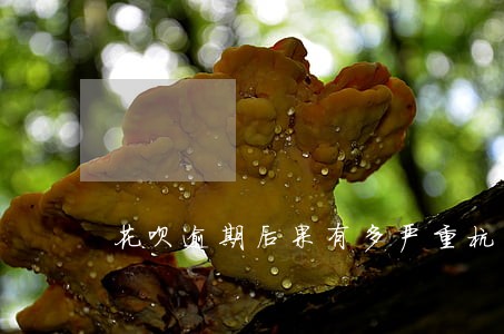 花呗逾期后果有多严重杭州的天气 花呗逾期后果有多严重杭州的天气