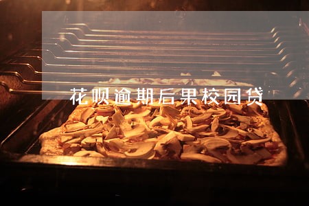 花呗逾期后果校园贷 花呗逾期后果校园贷