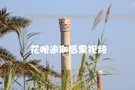 花呗逾期后果视频 花呗逾期后果视频