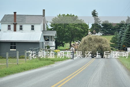 花呗逾期后果还上后还可以用吗 花呗逾期后果还上后还可以用吗