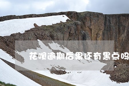 花呗逾期后果还有黑点吗 花呗逾期后果还有黑点吗