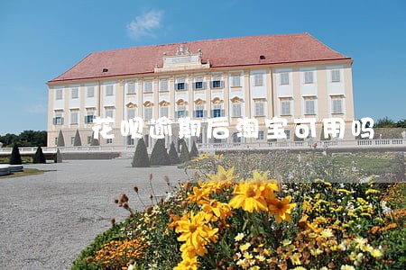 花呗逾期后淘宝可用吗 花呗逾期后淘宝可用吗