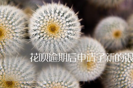 花呗逾期后申请了新的银行卡 花呗逾期后申请了新的银行卡