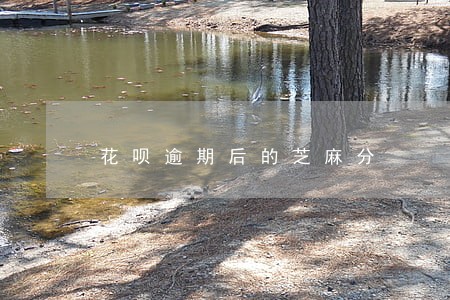 花呗逾期后的芝麻分 花呗逾期后的芝麻分