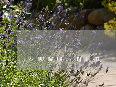 花呗逾期后的账单 花呗逾期后的账单