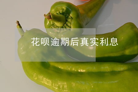 花呗逾期后真实利息 花呗逾期后真实利息