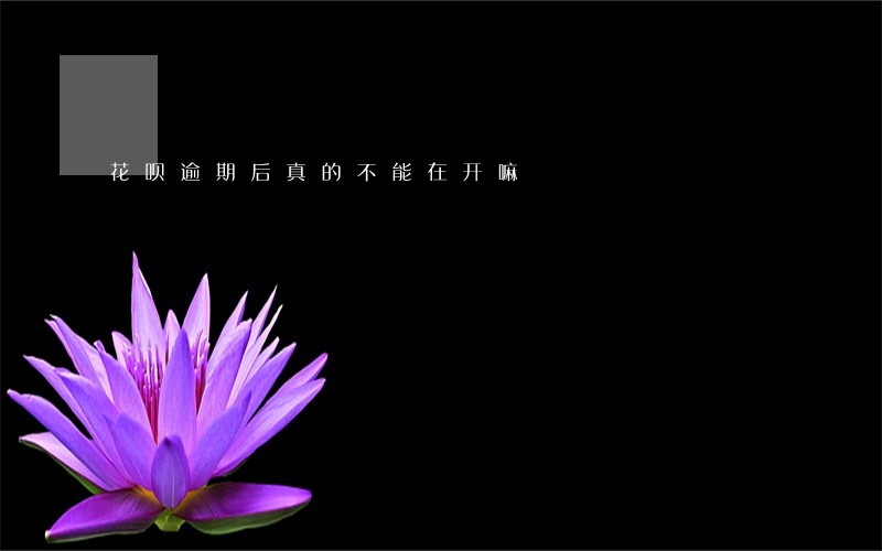 花呗逾期后真的不能在开嘛 花呗逾期后真的不能在开嘛