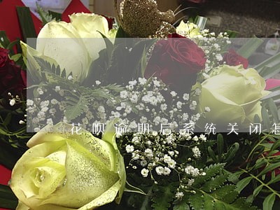 花呗逾期后系统关闭怎么还钱 花呗逾期后系统关闭怎么还钱