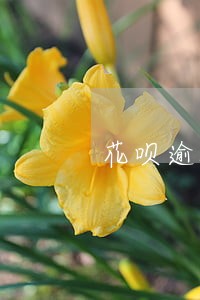 花呗逾期后结清如何消除征信记录 花呗逾期后结清如何消除征信记录